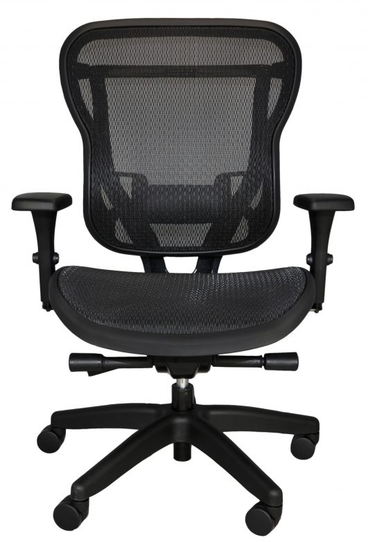 Buzz Seating Rika Ergonomic Mesh Back Office Chair - Black Mesh Seat
