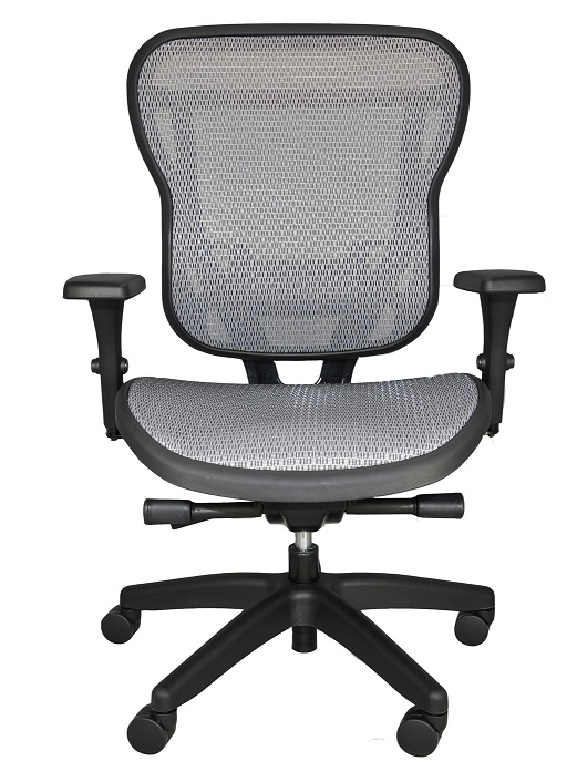 Buzz Seating Rika Ergonomic Mesh Back Office Chair - Gray Mesh Seat 